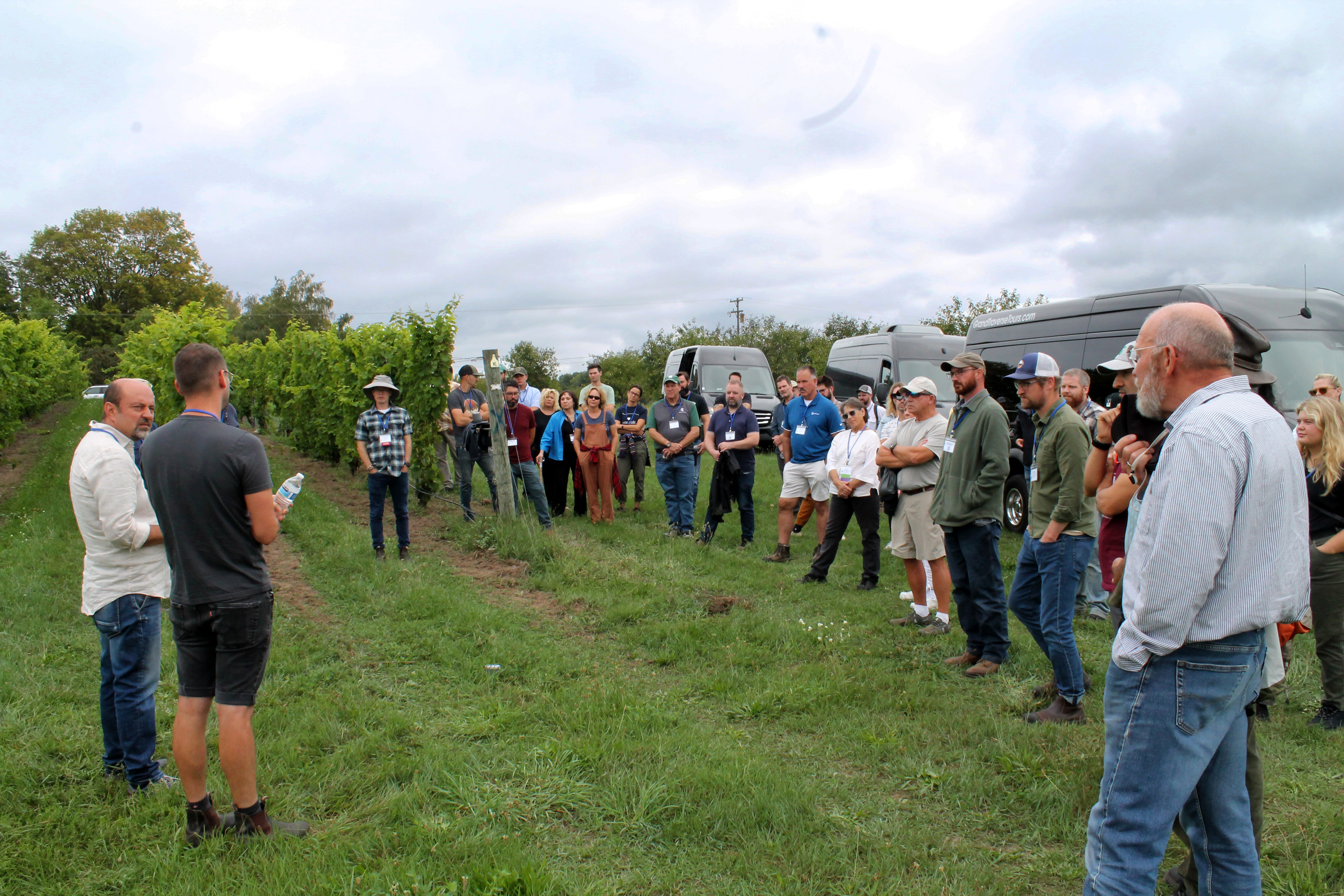 People gathered around talking in a grape orchard.